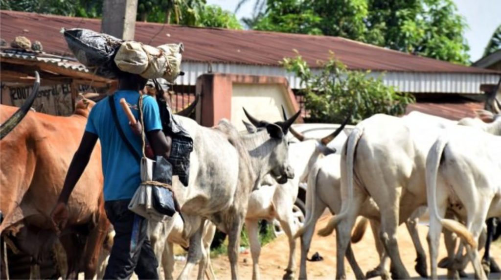 herdsmen